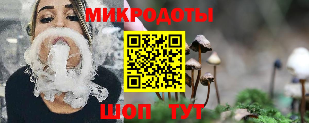 Елизово  Псилоцибиновые грибы GOLDEN TEACHER  Вход с VPN 